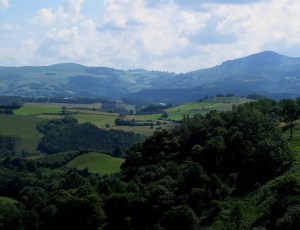 ???????????????????????????????